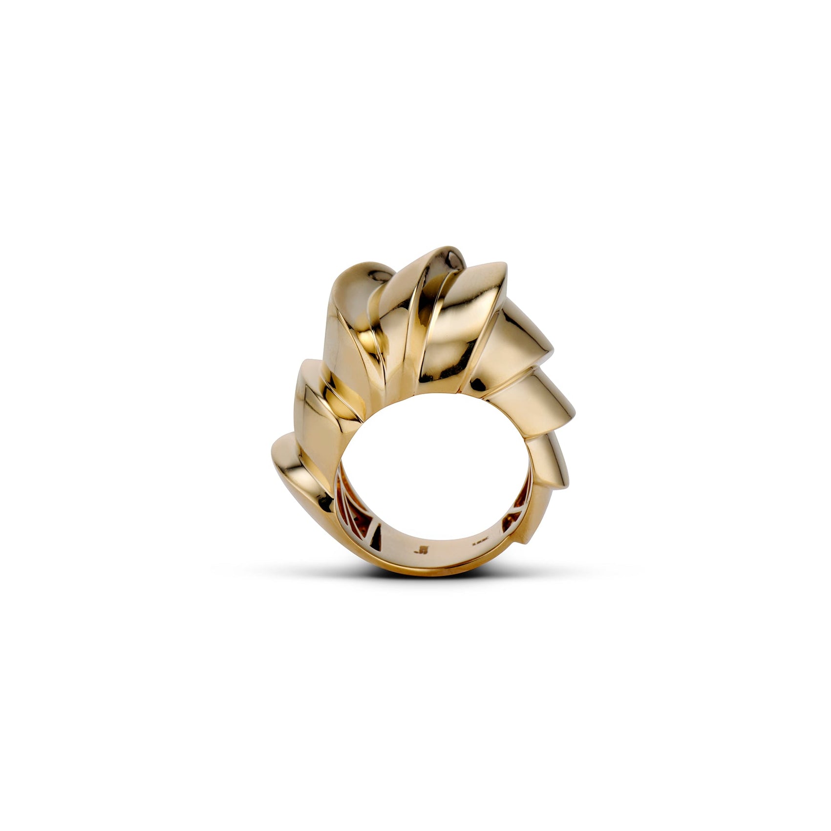 CONTINUUM RING